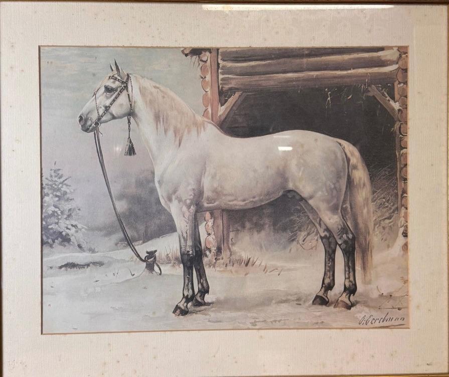 Lithografie Russische draver, Antiek en Kunst, Kunst | Schilderijen | Klassiek, Ophalen