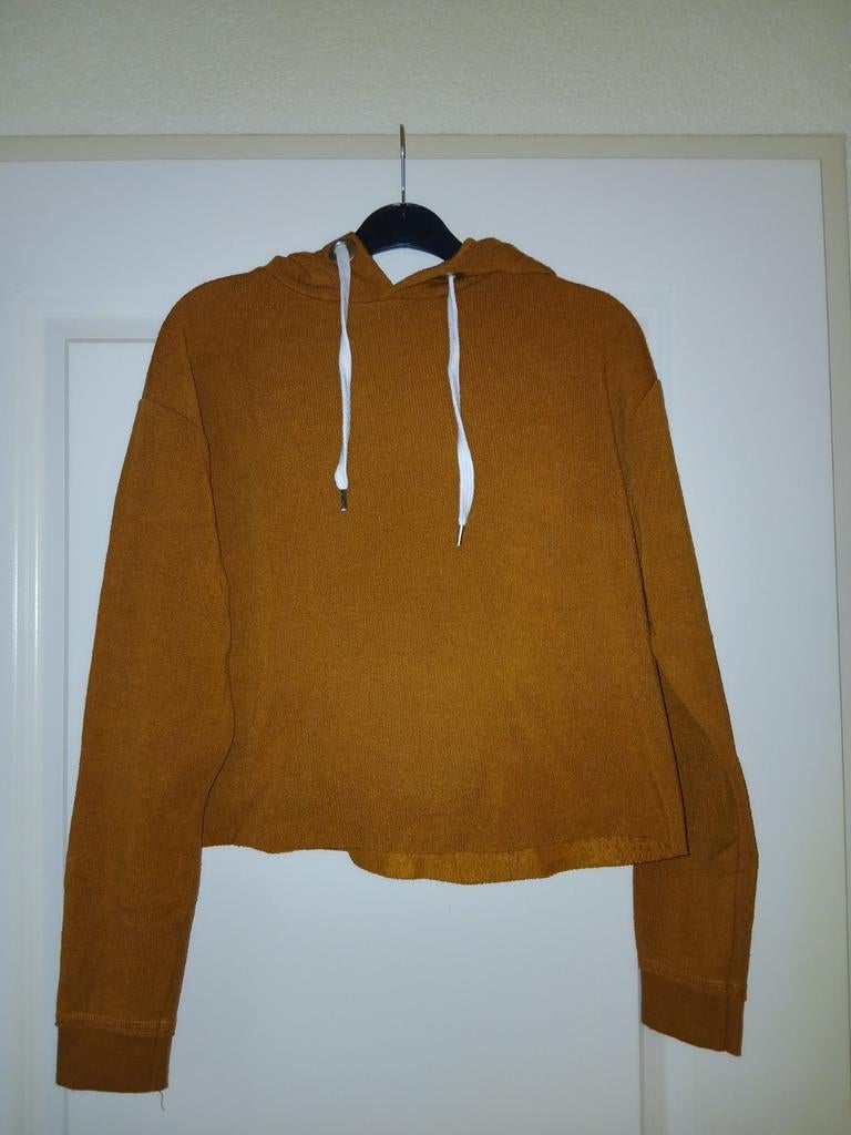 Dames trui van Primark maat: S, Bruin, Primark, Ophalen of Verzenden, Zo goed als nieuw