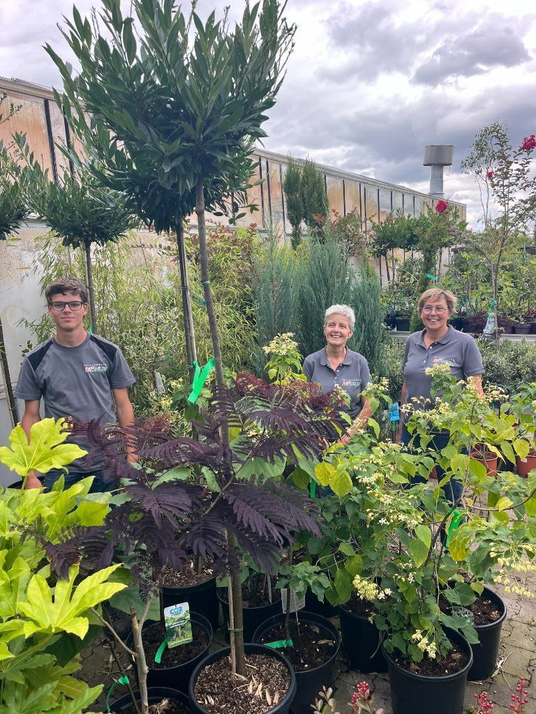 Tuincentrum in Lunteren, Ophalen, Overige soorten, Volle zon