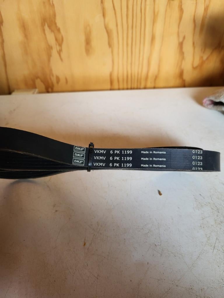 multiriem Renault Scenic 2 1.6 16v K4M, Ophalen of Verzenden, Nieuw, Renault