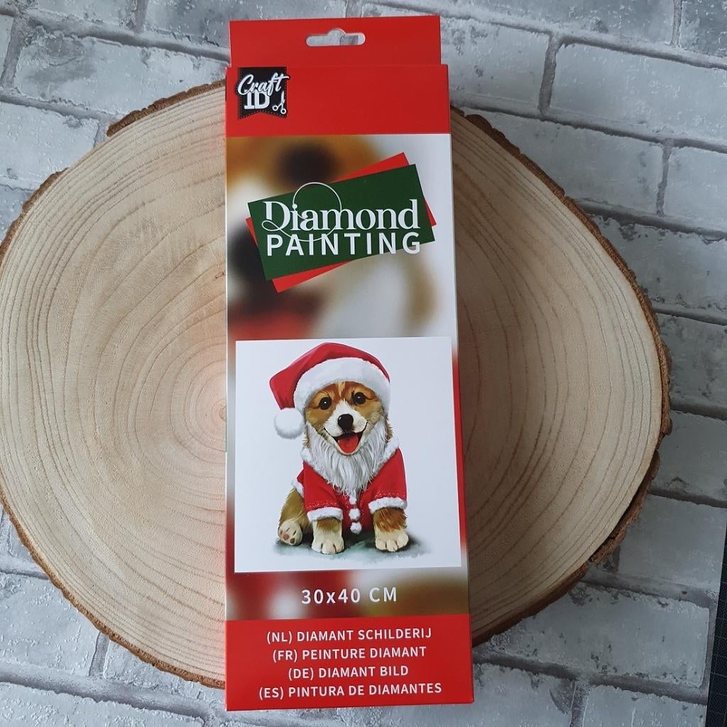 Diamond painting kerst hondje 30x40cm Zelf maken DIY Kit Cre