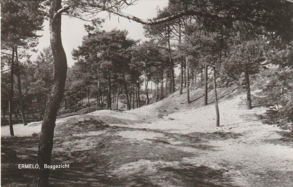 Ermelo, Verzamelen, Ansichtkaarten | Nederland, Ophalen of Verzenden, 1940 tot 1960, Ongelopen, Gelderland