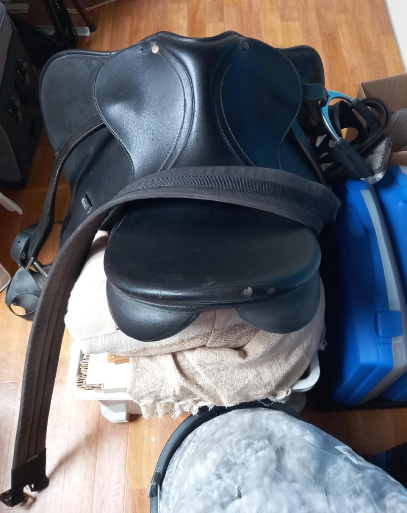 zadel + hoofdstel, Ophalen, Gebruikt, Recreatie