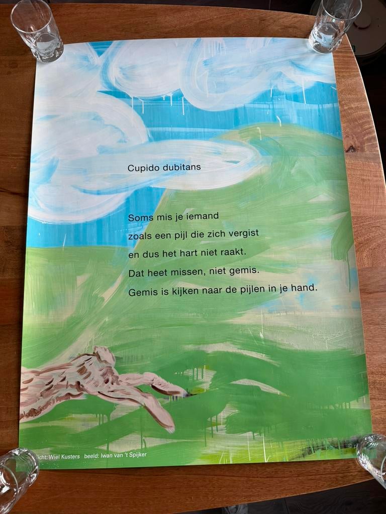 Poëzieposter van Plint (80x60cm), Ophalen of Verzenden, Zo goed als nieuw