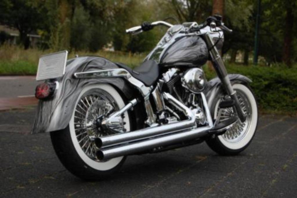 SOFTAIL 2000 - 2006 FENDER STRUTS, CUSTOM SMOOTH, Ophalen of Verzenden, Nieuw