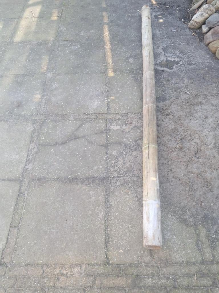 Bamboe paal, Tuin en Terras, Palen, Balken en Planken, Ophalen, 250 cm of meer, Palen
