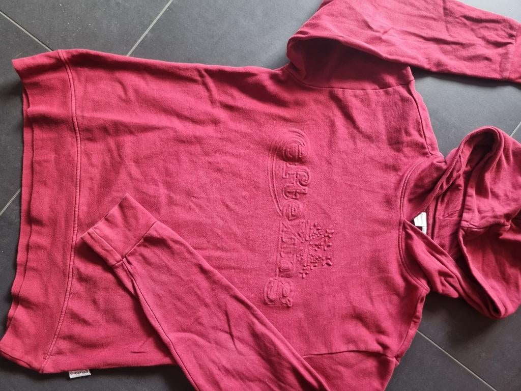 Originele Efteling Hoody - Maat M, Ophalen of Verzenden, Gedragen, Maat 48/50 (M), Rood