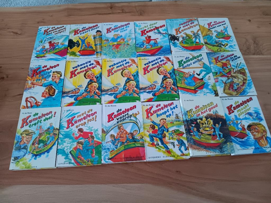Kameleon boeken, Ophalen of Verzenden, Gelezen, Hotze de Roos, Fictie
