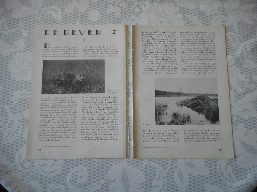 De Bever. 1939., Verzamelen, Tijdschriften, Kranten en Knipsels, Ophalen of Verzenden, 1920 tot 1940, Nederland, Knipsel(s)
