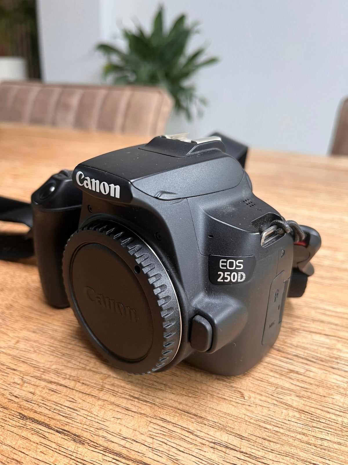 Canon eos 250D incl lenzen tas en meer, Canon, Zo goed als nieuw, 24 megapixels, Bluetooth