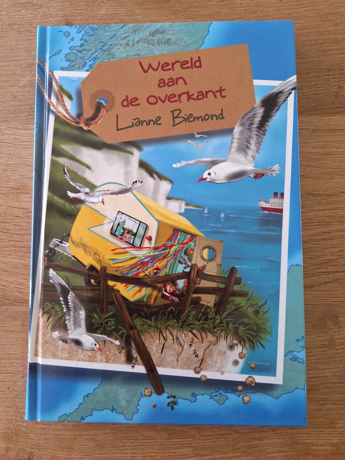 Wereld aan de overkant - Lianne Biemond, Ophalen of Verzenden, Zo goed als nieuw, Lianne Biemond, Fictie algemeen