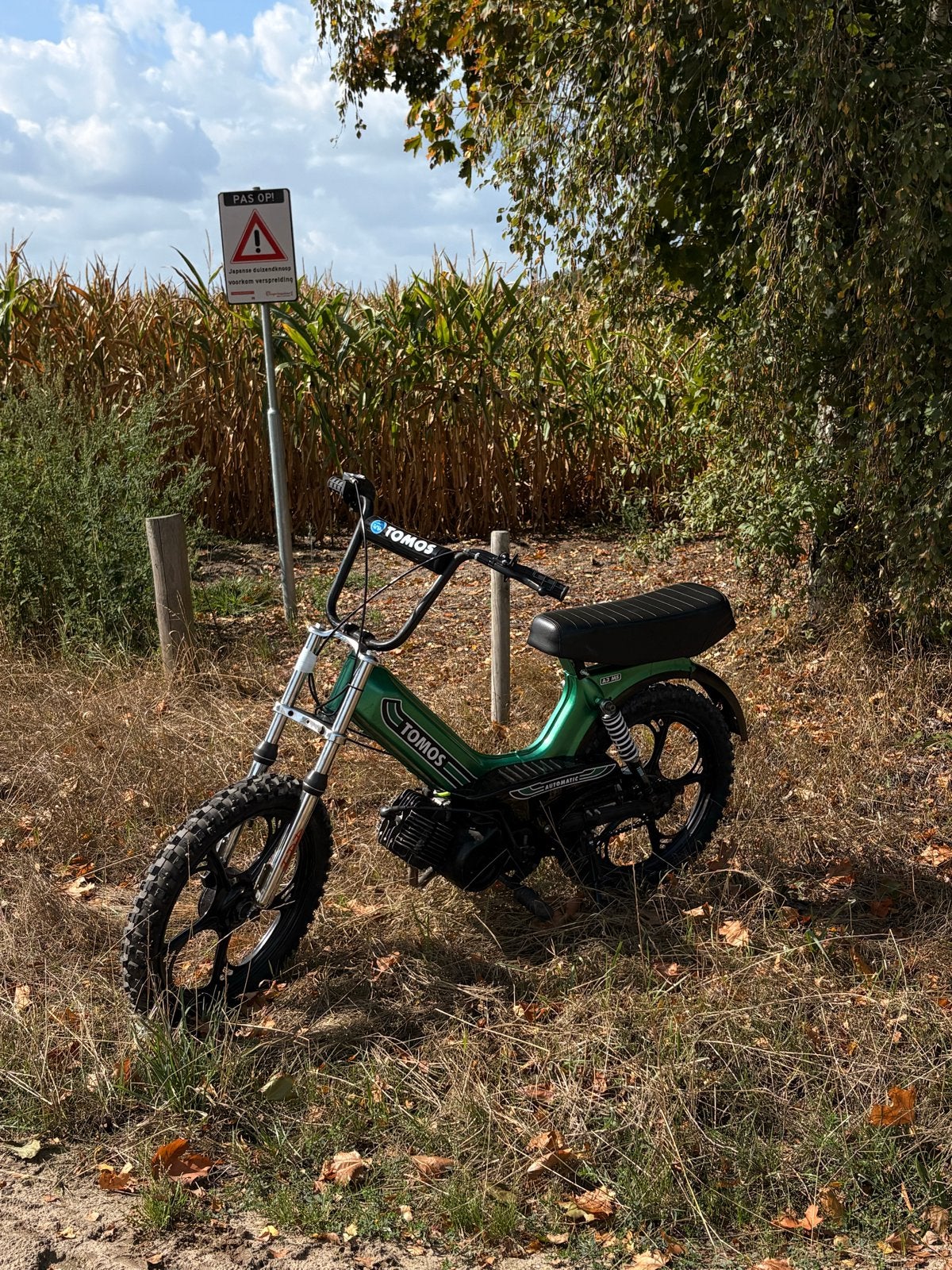 Tomos 65cc zonder papieren, Fietsen en Brommers, Brommers | Tomos, Ophalen, Zo goed als nieuw, Maximaal 45 km/u, Quadro