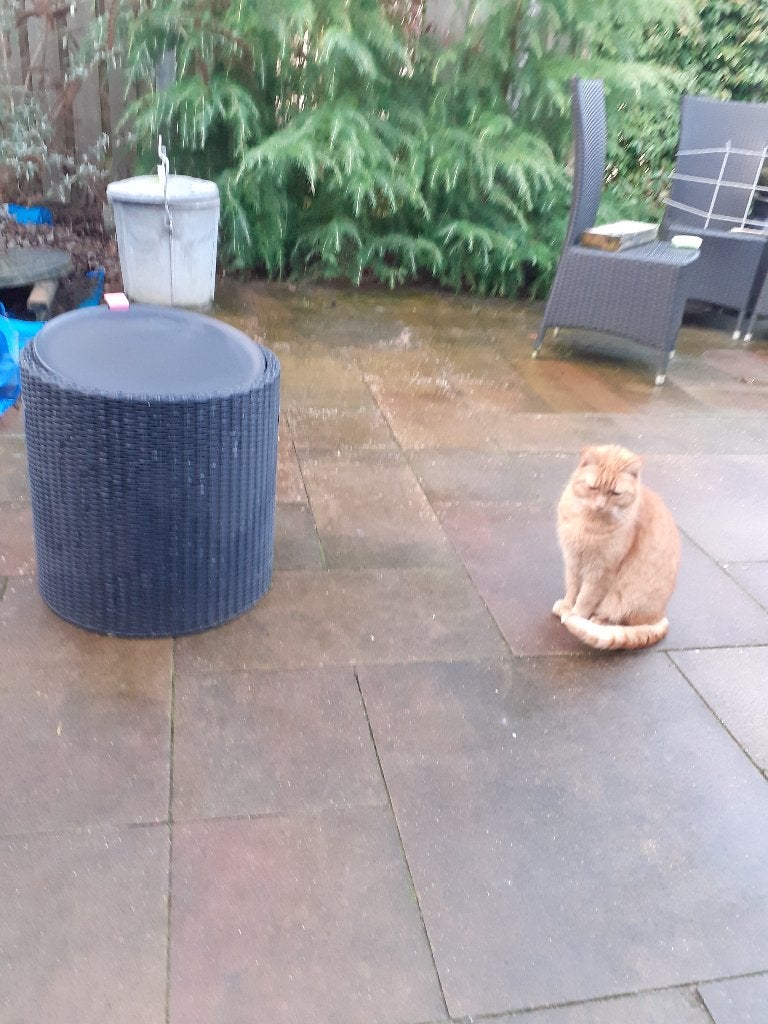 koelbox, Ophalen of Verzenden, Zo goed als nieuw