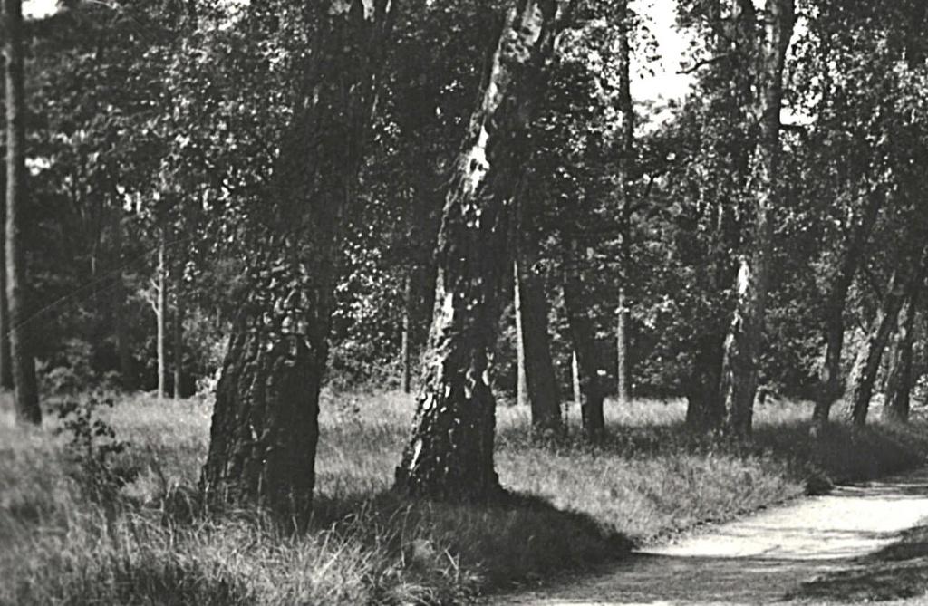948518 Laag Keppel Hessenweg 1964 Gelopen met postzegel, Ophalen of Verzenden, 1960 tot 1980, Gelopen, Gelderland