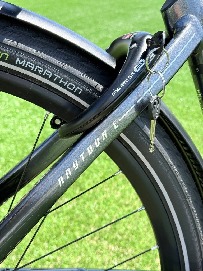 Giant anytour E 5 DD 8 nexus belt drive Demo 525km, Niet ingevuld, Niet ingevuld, Zo goed als nieuw, 51 tot 55 cm