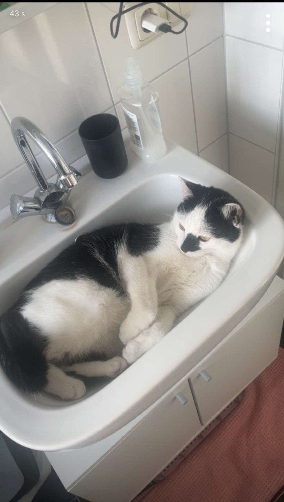 Aangeboden zwart met witte kater, Dieren en Toebehoren, Katten en Kittens | Overige Katten, Kater