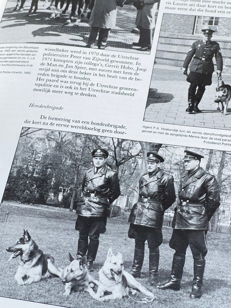 Van Schout tot Wout  - geschiedenis van de Utrechtse politie, Ophalen of Verzenden, Overige soorten, Nederland, Boek of Tijdschrift