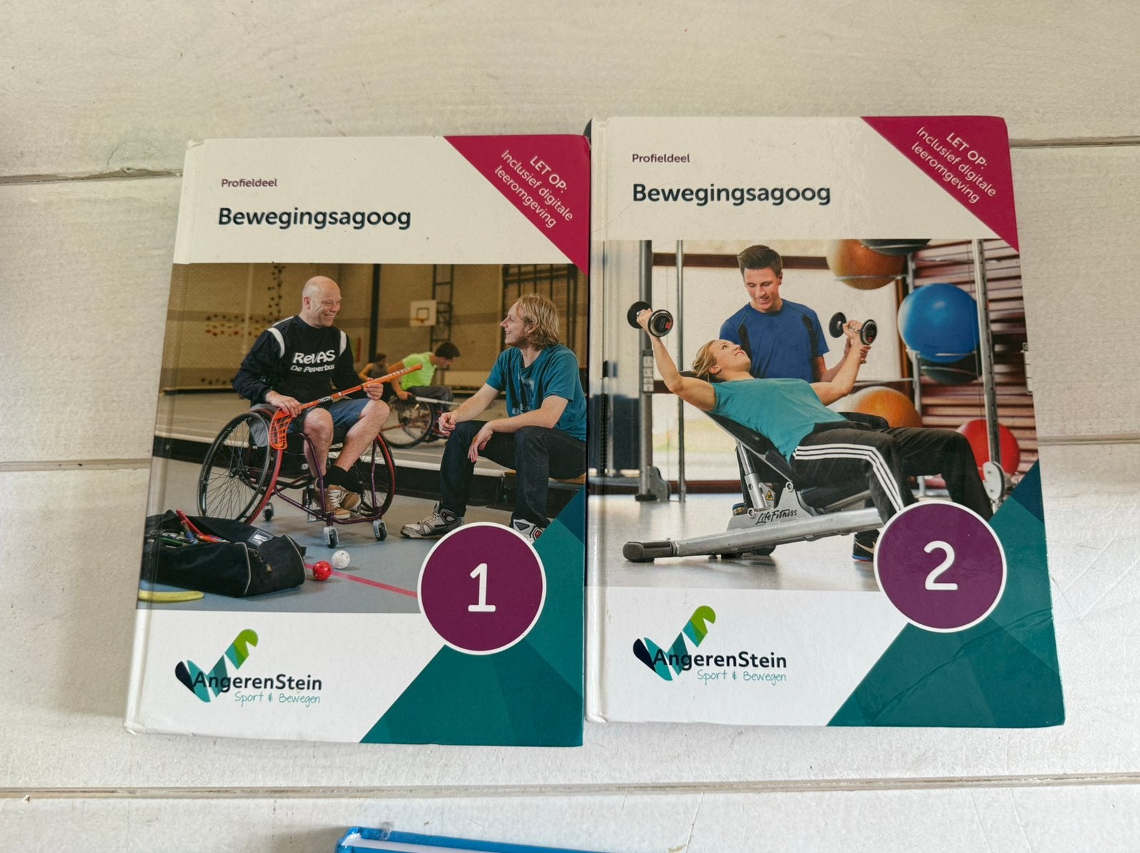 Bewegingsagoog deel 1 en 2, Boeken, Ophalen of Verzenden, Zo goed als nieuw, Overige niveaus