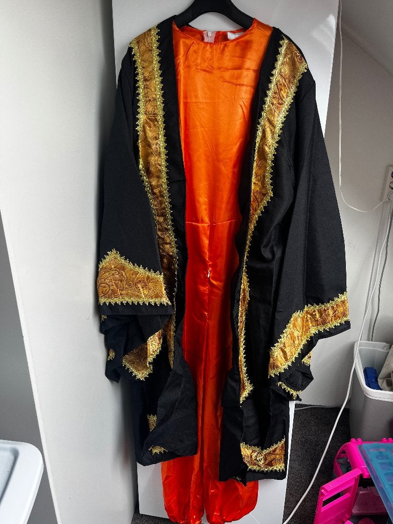Heel veel mooie carnavalskleding, Maat 52/54 (L), Carnaval, Onbekend, Ophalen of Verzenden