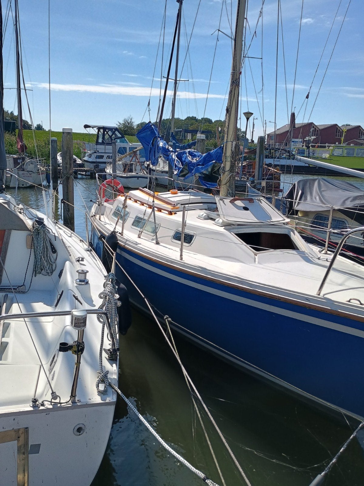 Catalina 25 Zeiljacht, Watersport en Boten, Ophalen, Overige merken, Gebruikt, Binnenboordmotor