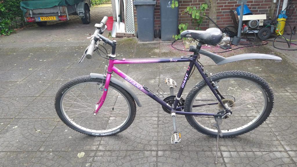 Giant Mountainbike - Paars/Roze - Gebruikt, 53 tot 57 cm, Ophalen, Gebruikt, Giant