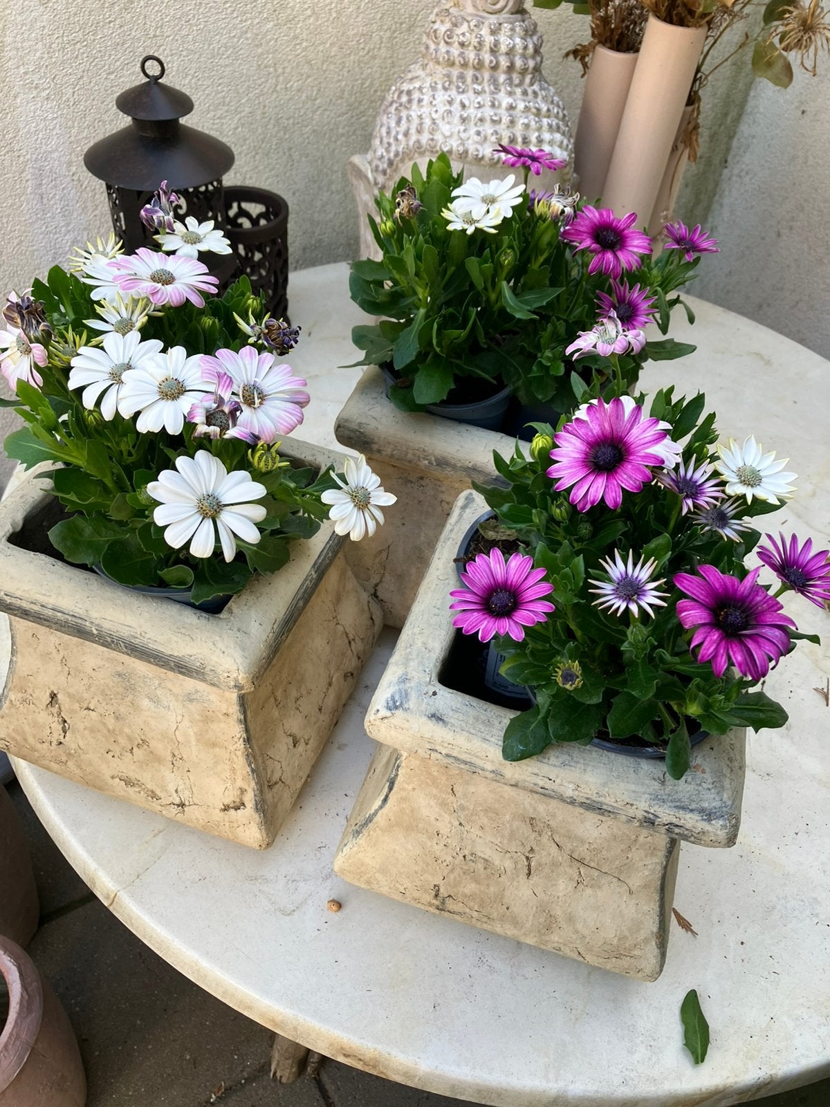 Drie nieuwe planten potten., Ophalen, Steen, Minder dan 30 cm, Vierkant