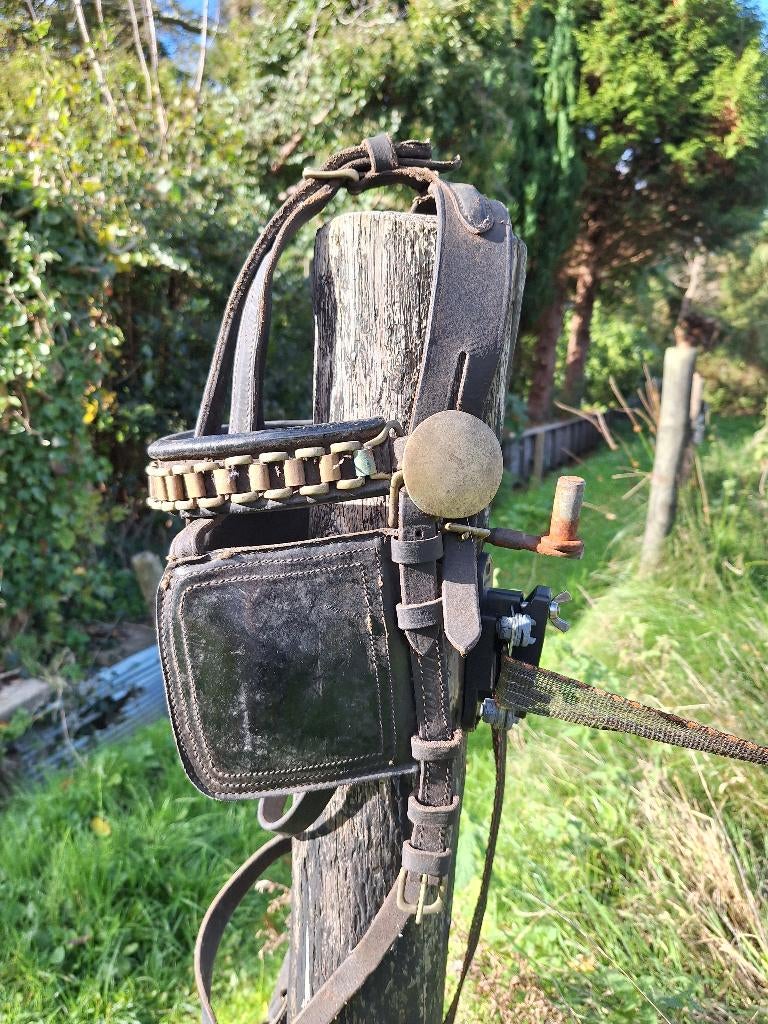 Menhoofdstel, Dieren en Toebehoren, Ophalen of Verzenden, Dressuur
