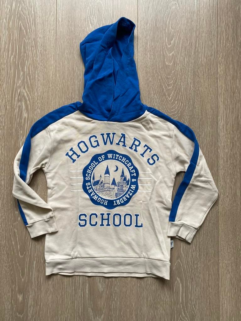 Longsleeve met capuchon H&M * Harry Potter maat 122-128, Kinderen en Baby's, Ophalen of Verzenden, Zo goed als nieuw, Jongen of Meisje