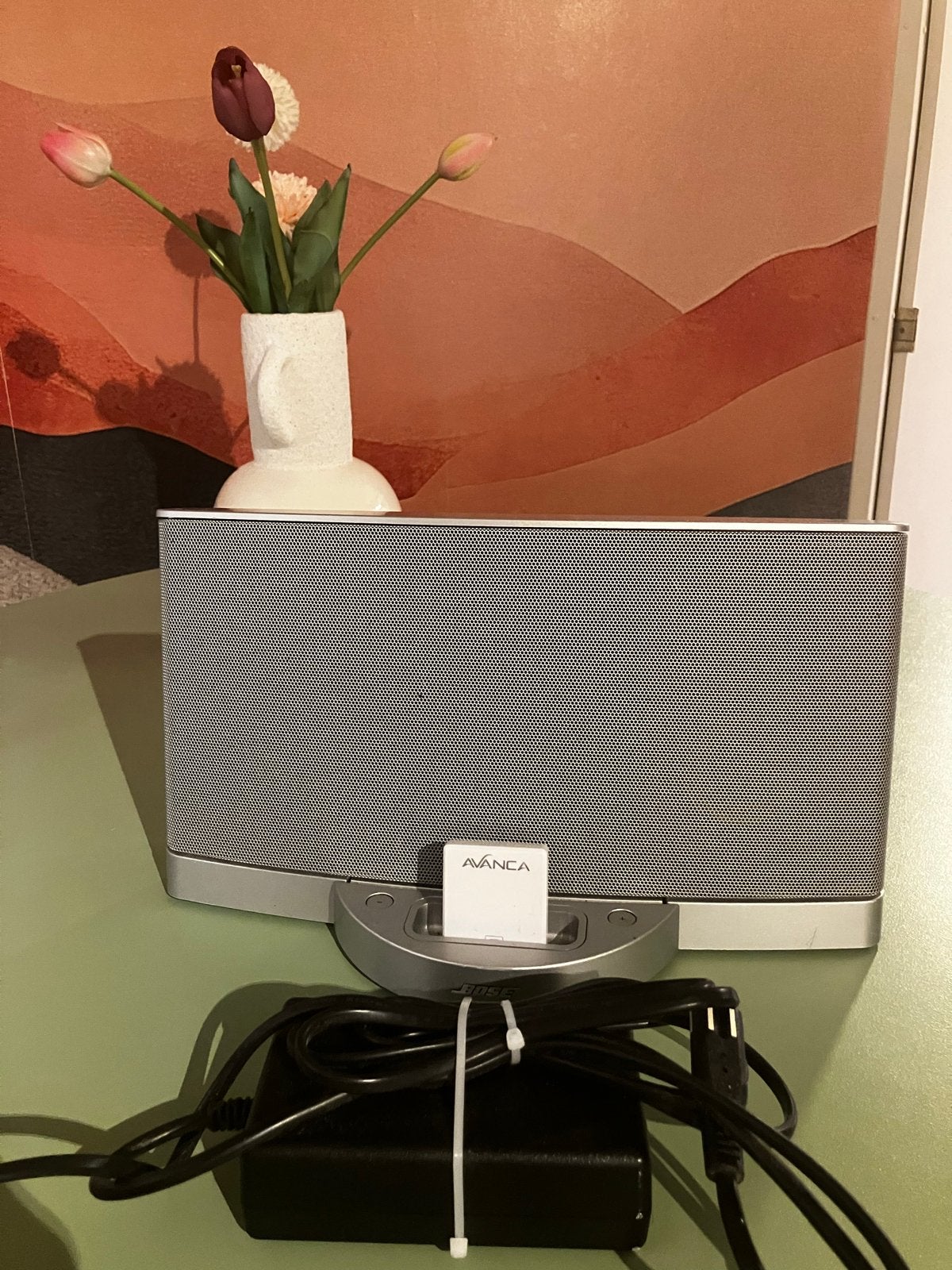 Bose SoundDock Series II met Bluetooth adapter, Gebruikt, Ophalen of Verzenden, Draagbare speaker, Bose