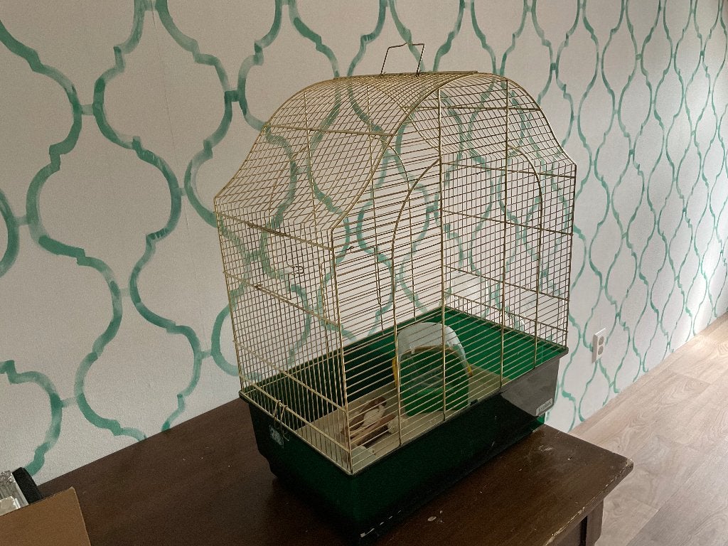 Vogelkooi goud, Ophalen, Gebruikt, Metaal, Vogelkooi