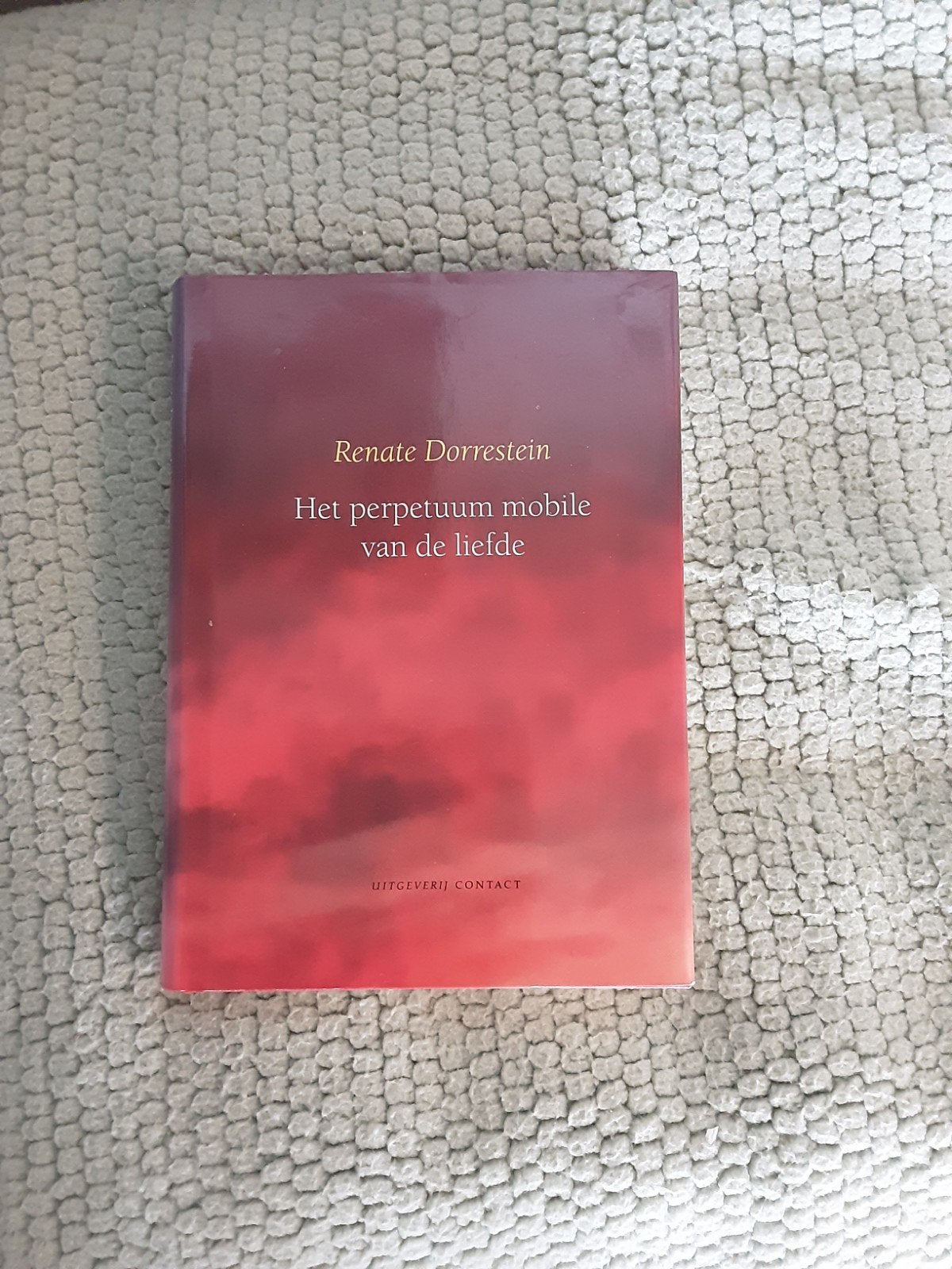 Renate Dorrestein---Het perpetuum mobile van de liefde, Renate Dorrestein, Ophalen of Verzenden, Zo goed als nieuw, Nederland