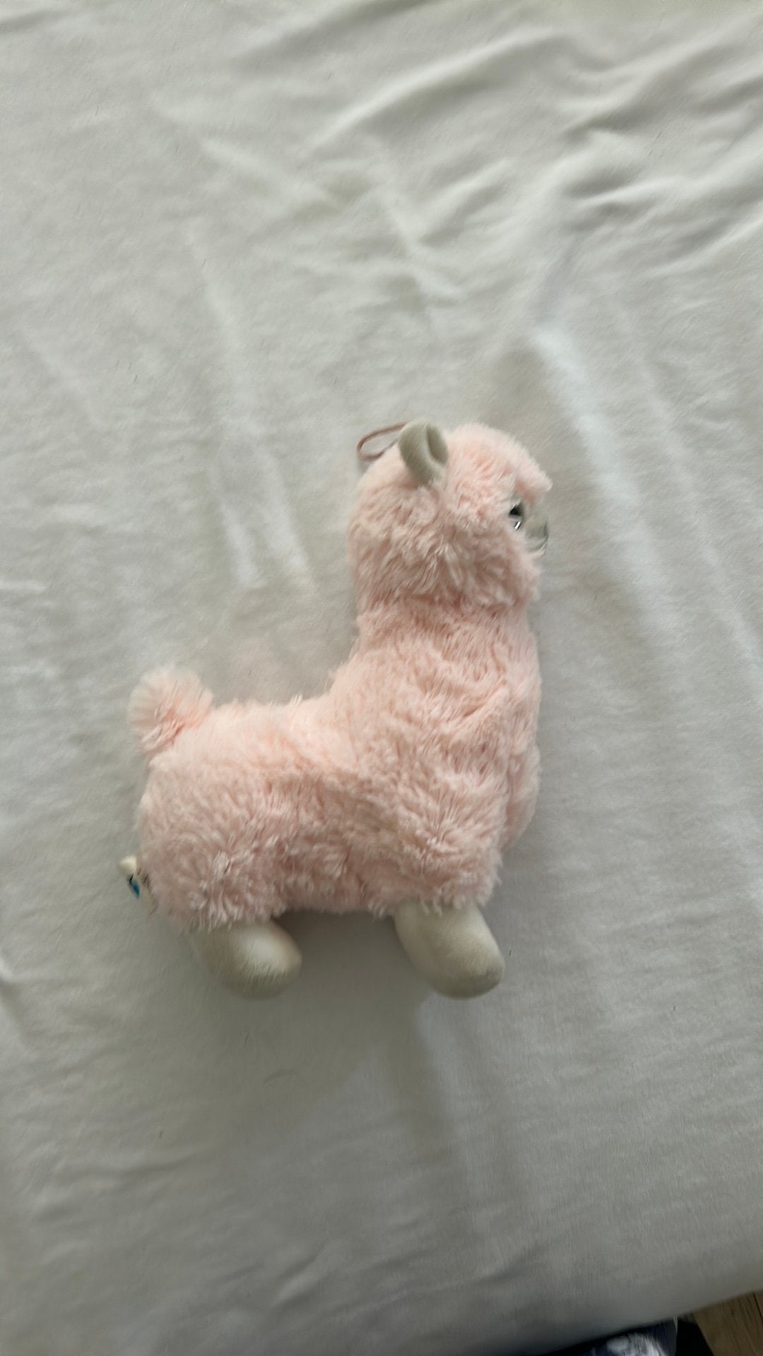 Lama knuffel, Ophalen of Verzenden, Zo goed als nieuw, Overige typen