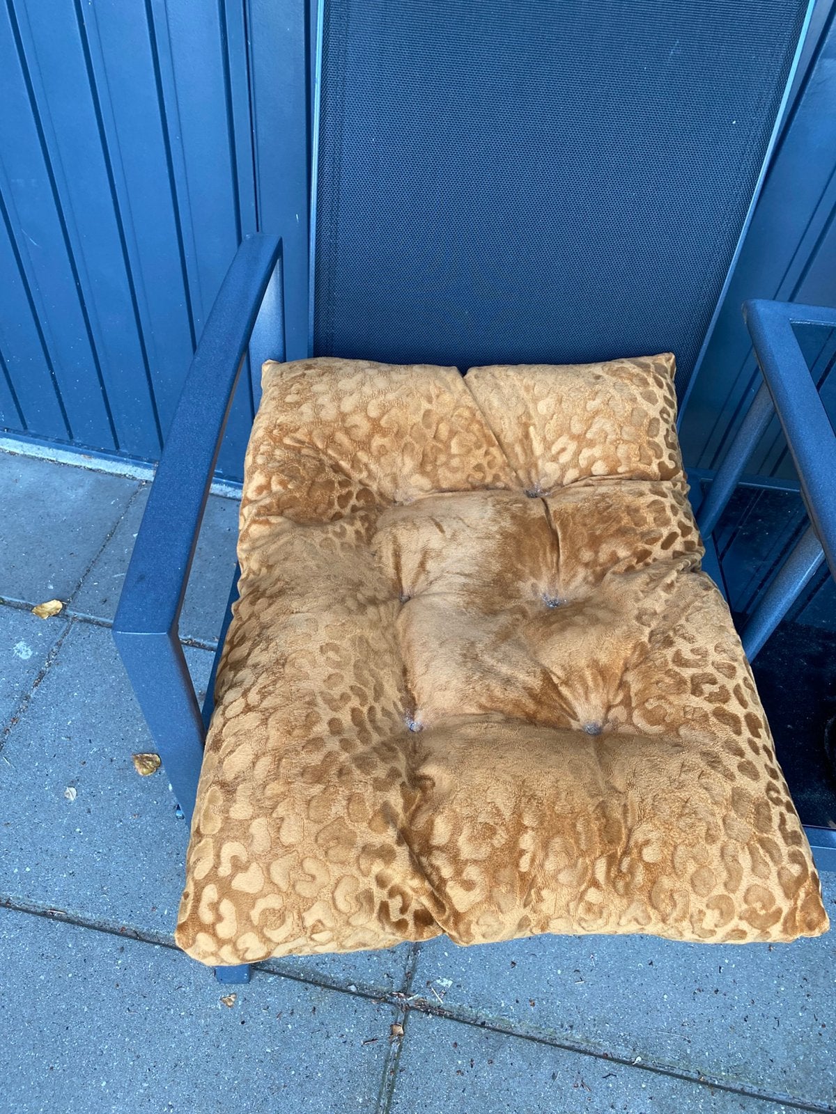 Gratis honden mand kussens, Ophalen, Gebruikt