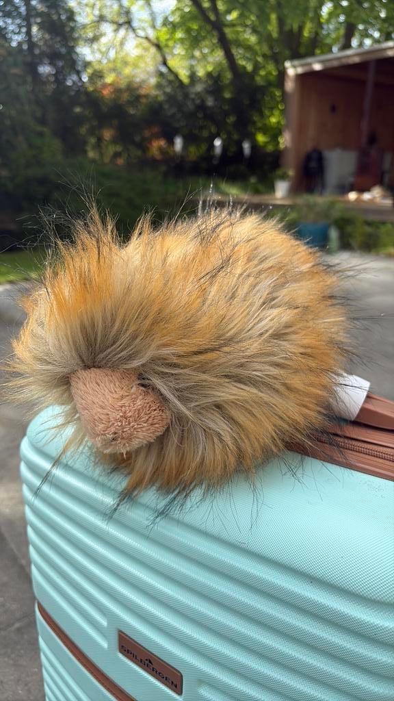 Jellycat cavia! Collectors item!, Kinderen en Baby's, Speelgoed | Knuffels en Pluche, Ophalen of Verzenden, Overige typen