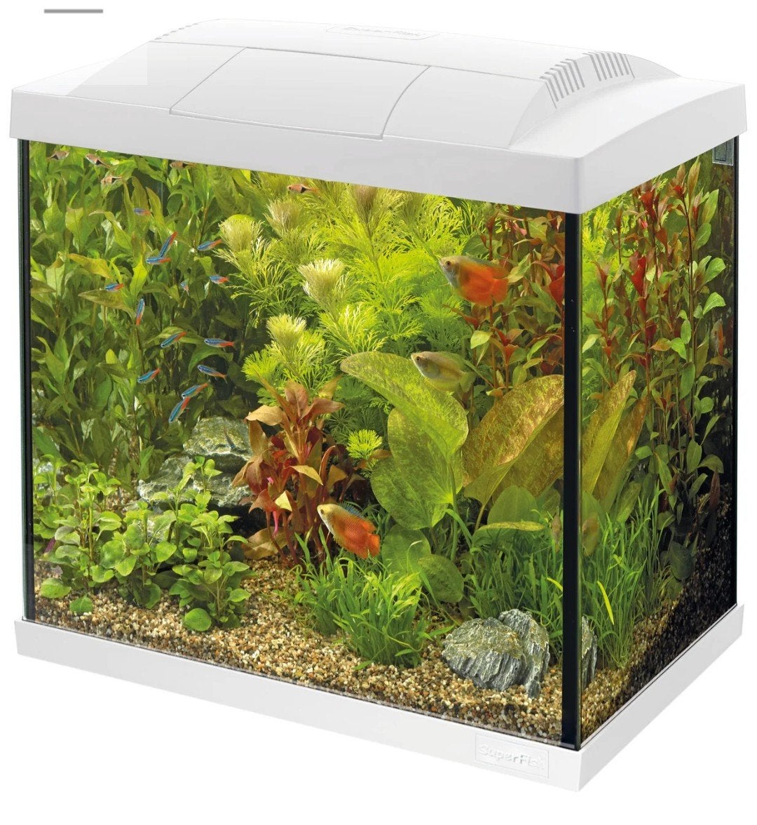 Aquarium 30liter, Dieren en Toebehoren, Ophalen, Leeg aquarium