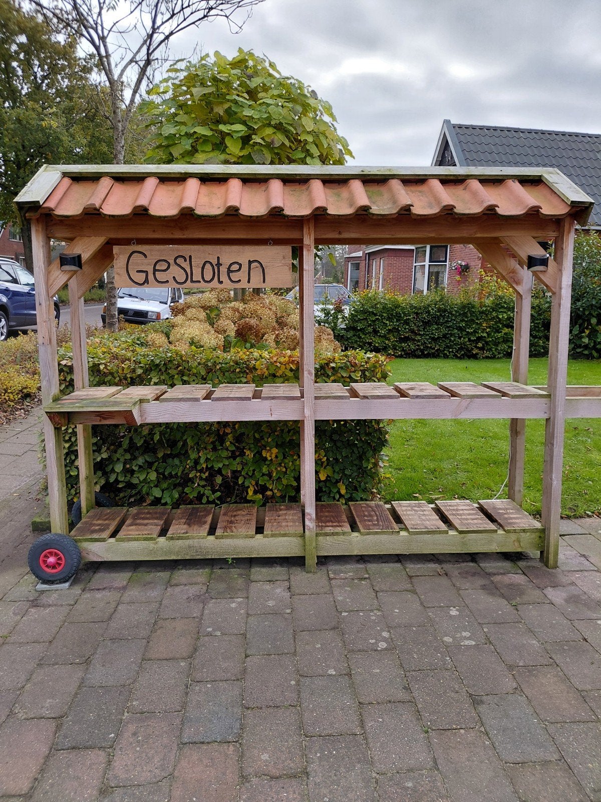 Vaste planten, verse honing & pompoenen, Ophalen, Eenjarig, Overige soorten, Volle zon