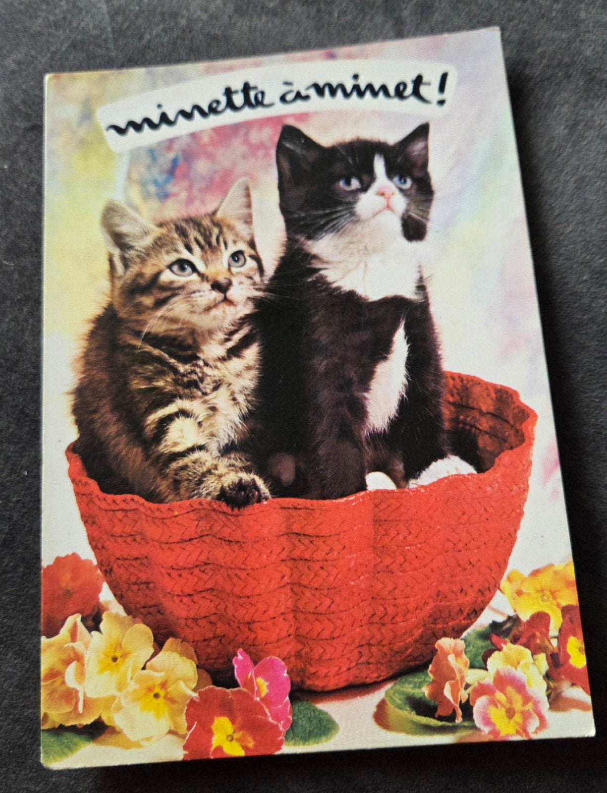Twee poezen in een rood mandje, Verzenden, Gelopen, Hond of Kat
