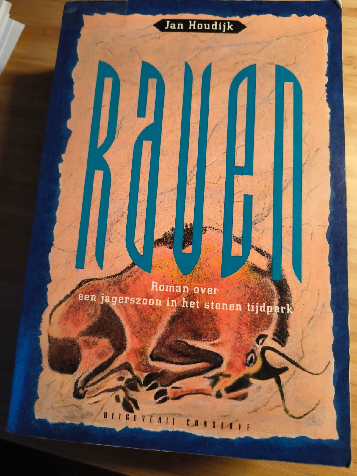 Raven - Roman over een jagerszoon in het stenen tijdperk, Ophalen of Verzenden, Gelezen, Jan Houdijk, Nederland