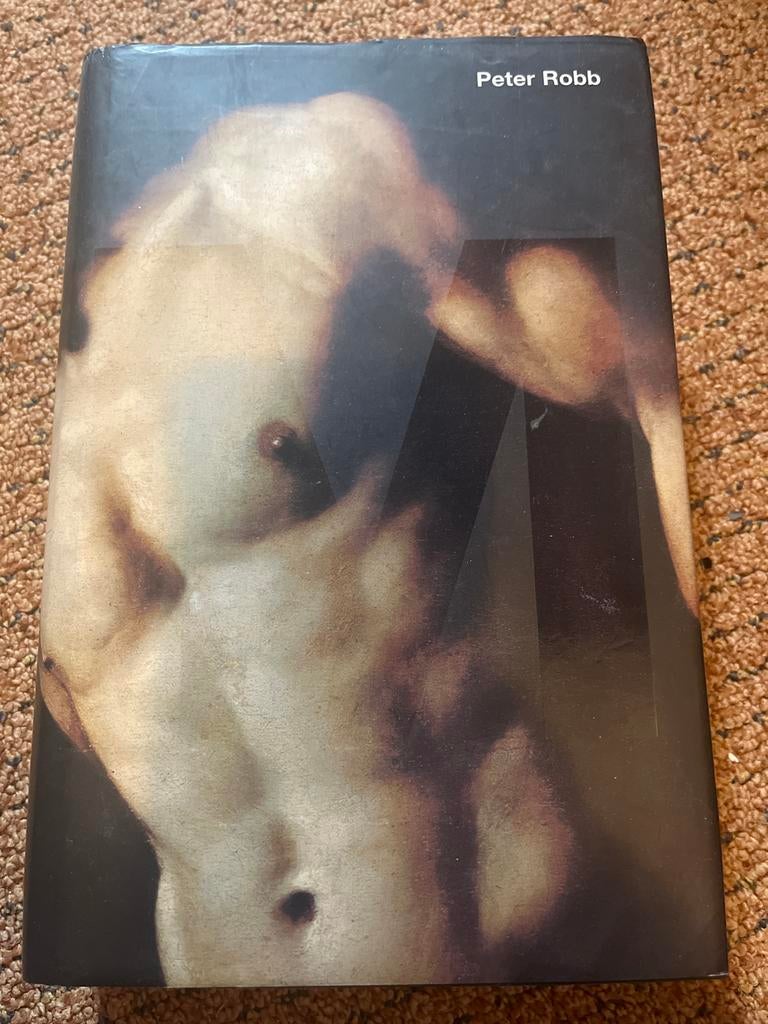 Boek over Michelangelo Merisi uit Caravaggio, Ophalen of Verzenden, Zo goed als nieuw, Overige onderwerpen