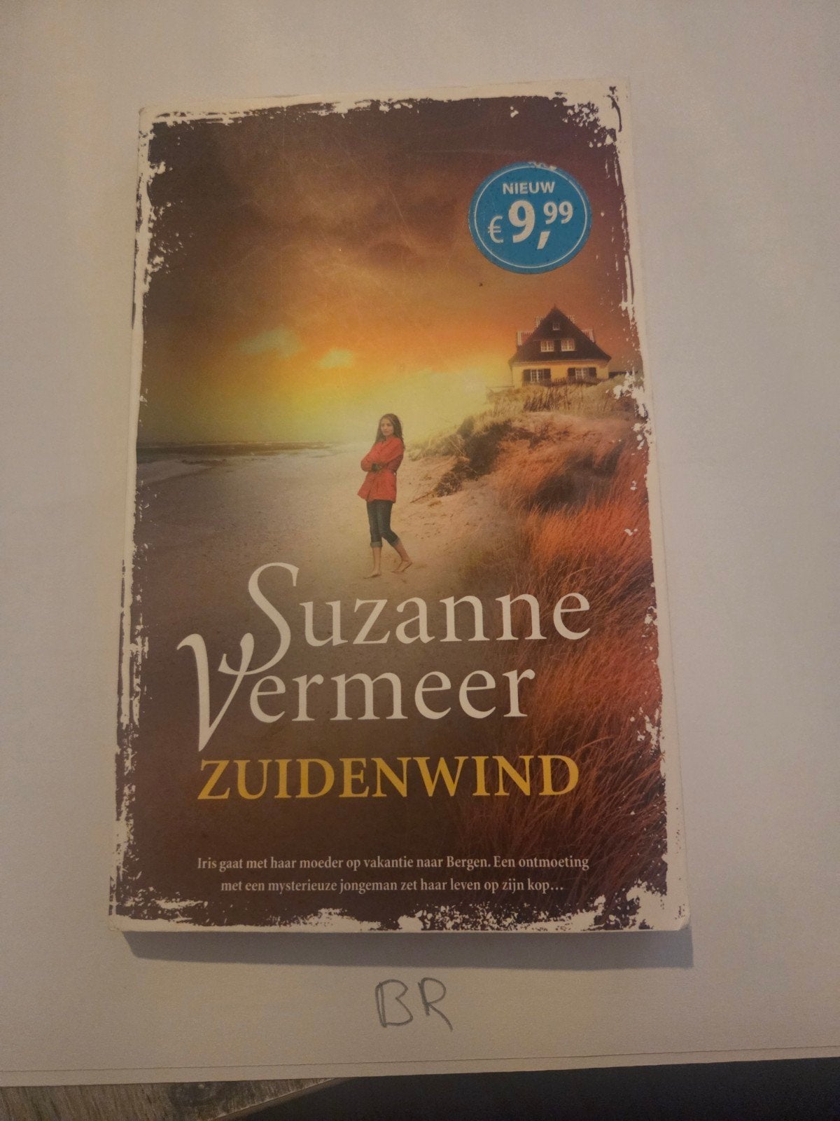 Suzanne Vermeer - Zuidenwind (Roman), Ophalen of Verzenden, Zo goed als nieuw, Suzanne Vermeer