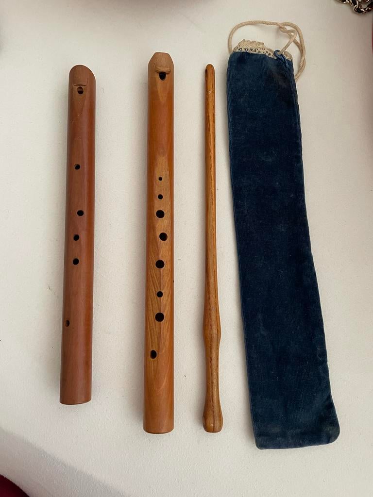 Choroi Quinta pentatonische fluiten vrije school, Ophalen of Verzenden, Gebruikt, Houtblazer, Met koffer of draagtas