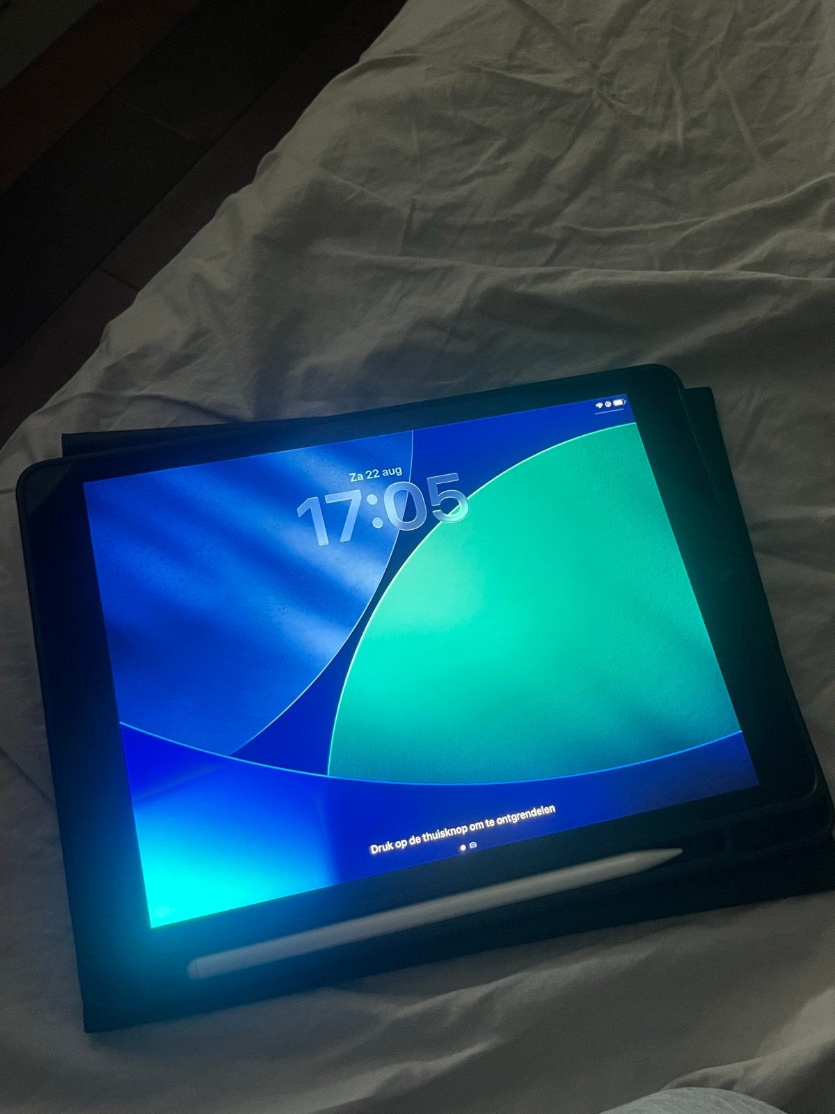 Apple iPad (9e generatie) 64GB Wi-Fi + Pencil, Computers en Software, Apple iPads, Apple iPad, Zo goed als nieuw, Wi-Fi, Ophalen