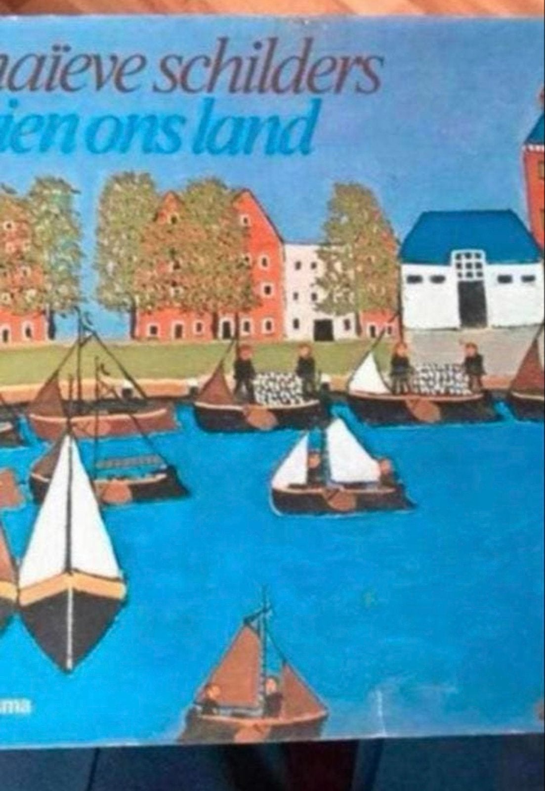Naïeve Schilders in Ons Land - Kunstboek, Ophalen of Verzenden, Gelezen, Overige onderwerpen
