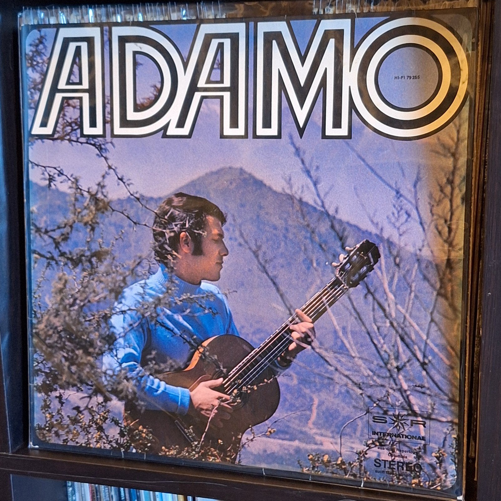 Adamo Vinyl LP Collectie - Diverse Albums, Ophalen of Verzenden, Gebruikt, 12 inch