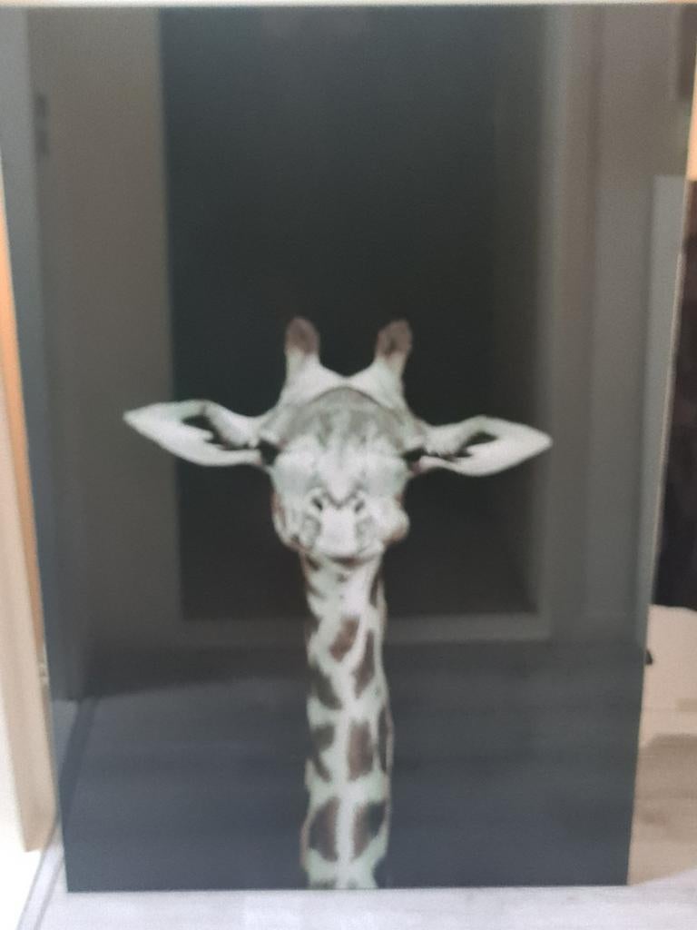 Giraffe schilderij 70x110cm, Ophalen of Verzenden, Zo goed als nieuw, Schilderij, 100 tot 125 cm