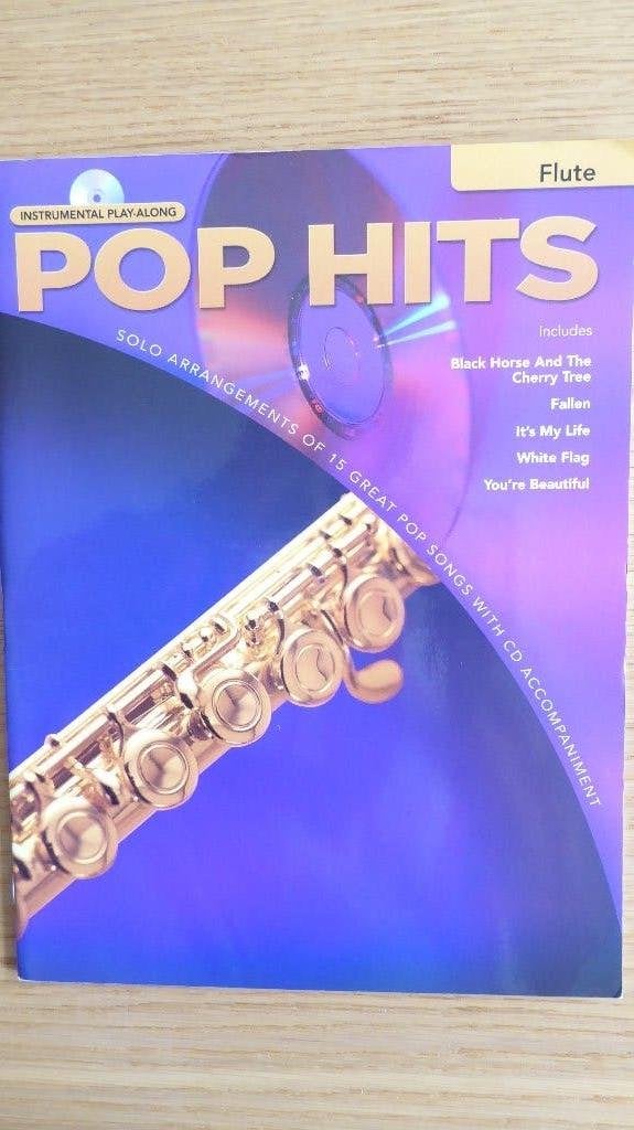 Pop Hits - instrumental play-along -Flute (incl. CD), Dwarsfluit of Piccolo, Ophalen of Verzenden, Zo goed als nieuw, Artiest of Componist