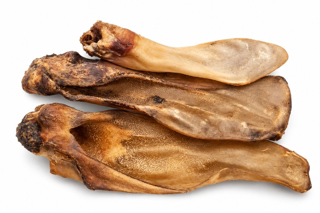 Runderoren met pit, Dieren en Toebehoren, Ophalen of Verzenden, Hond