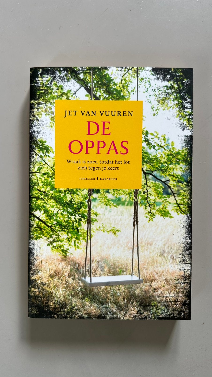 Jet van Vuuren - De oppas, Boeken, Thrillers, Nieuw, Ophalen of Verzenden