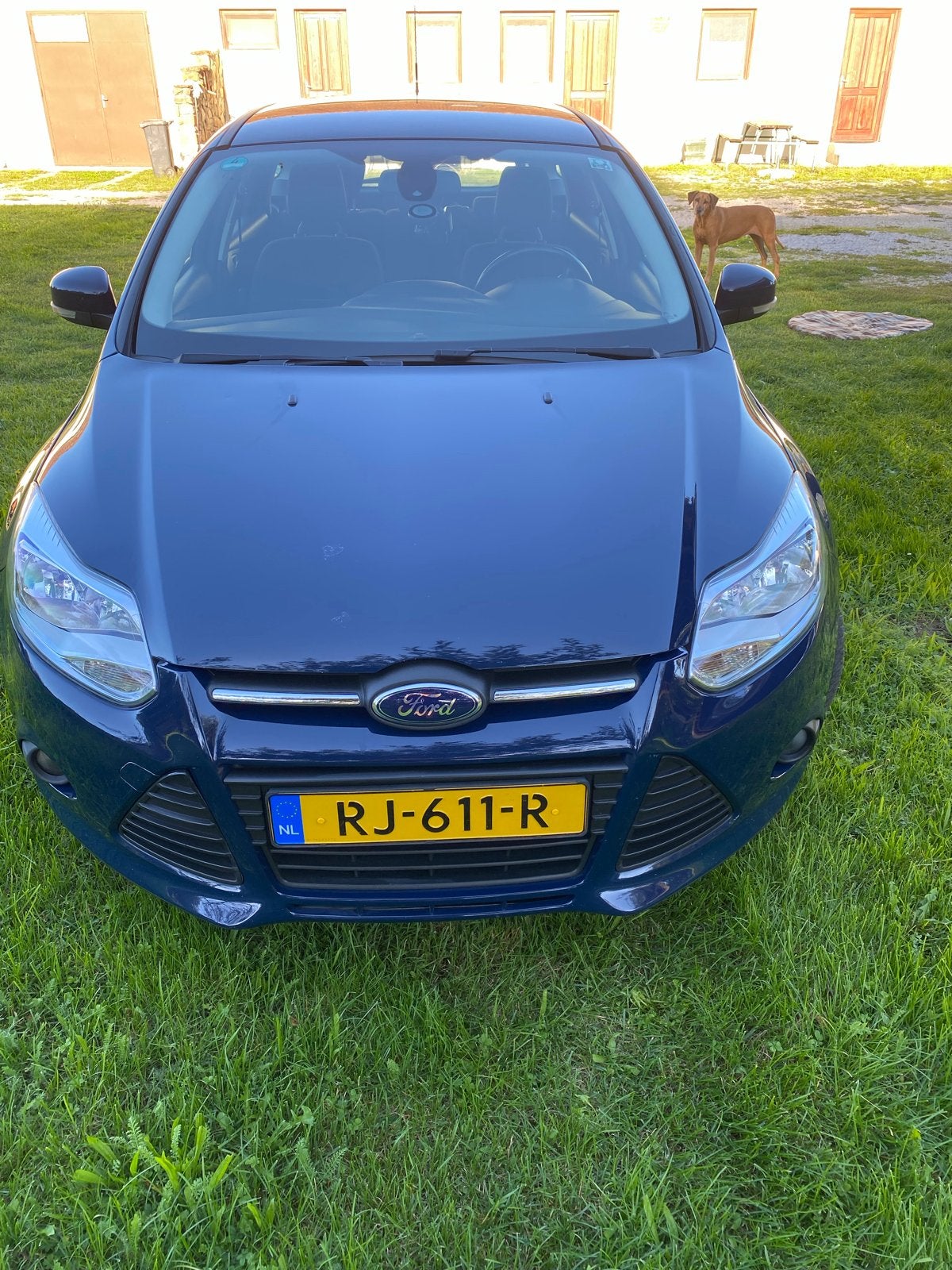 Ford Focus 1.0 Ecoboost Blauw Trekhaak, Auto's, Ford, Stof, Blauw, 100 pk, Handgeschakeld