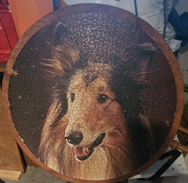 schilderij Lassie hond, Ophalen of Verzenden, Zo goed als nieuw, Overige typen